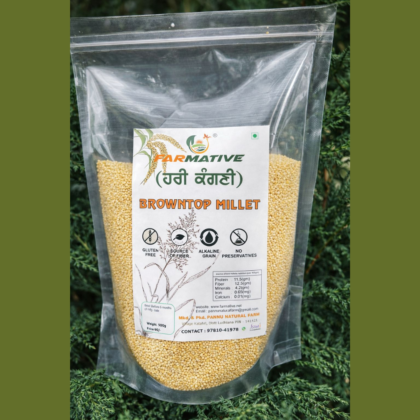 Browntop Millet