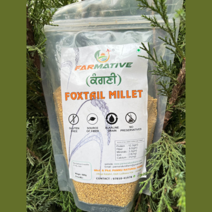 Foxtail Millet