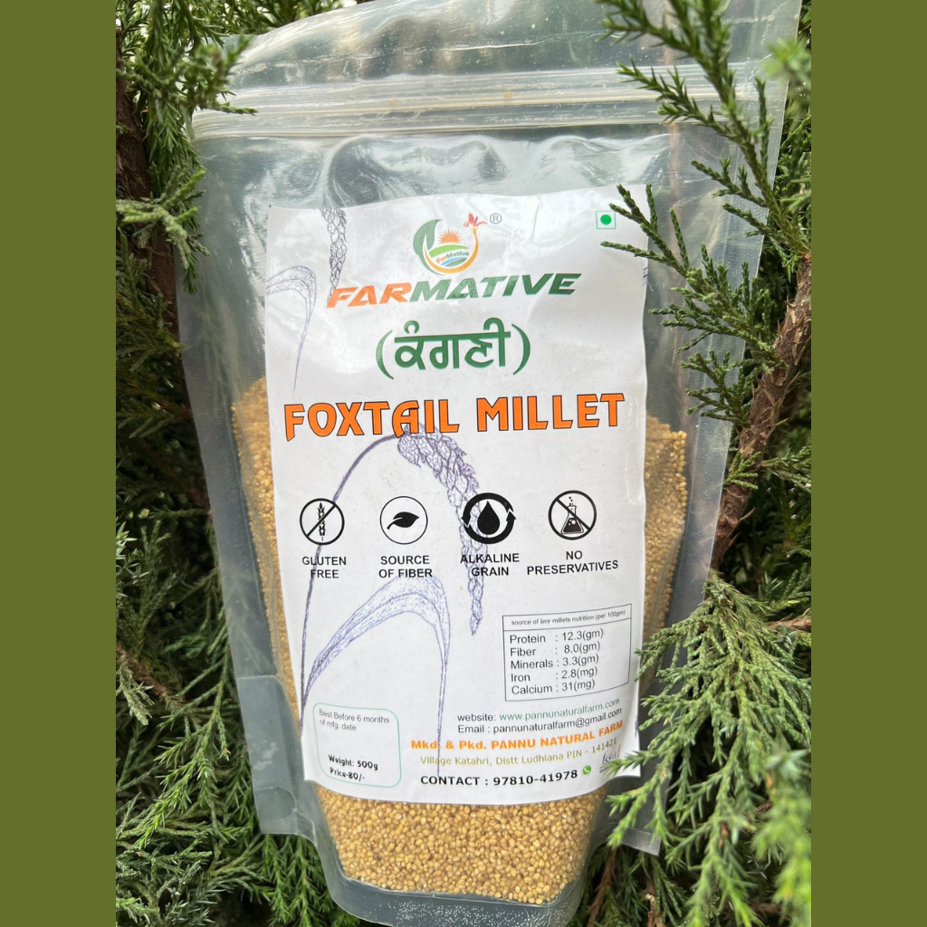 Foxtail Millet