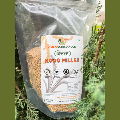 Kodo Millet