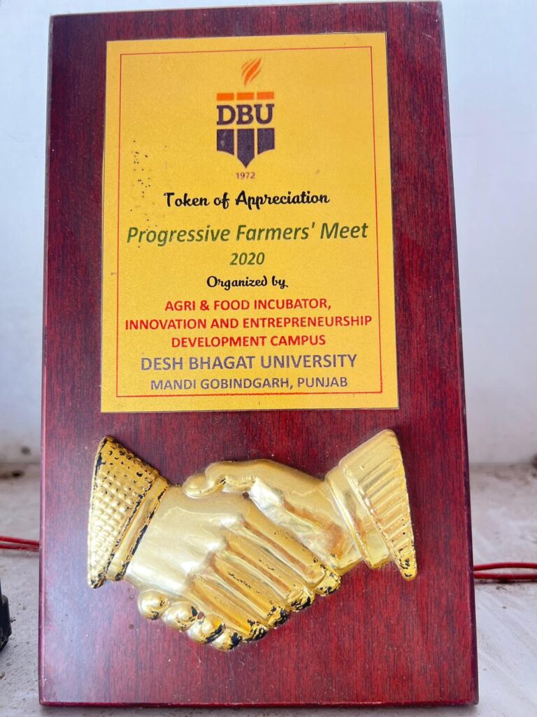 WhatsApp Image 2025-12-31 at 9.37.09 AM