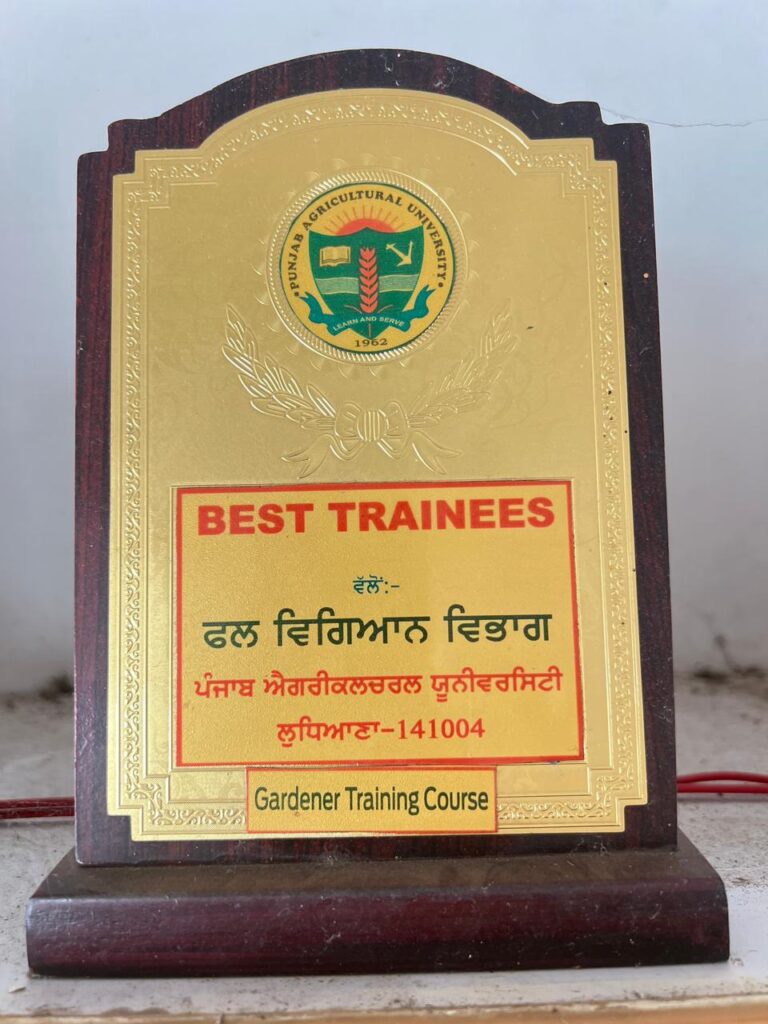 WhatsApp Image 2025-12-31 at 9.37.09 AMSFSFFS