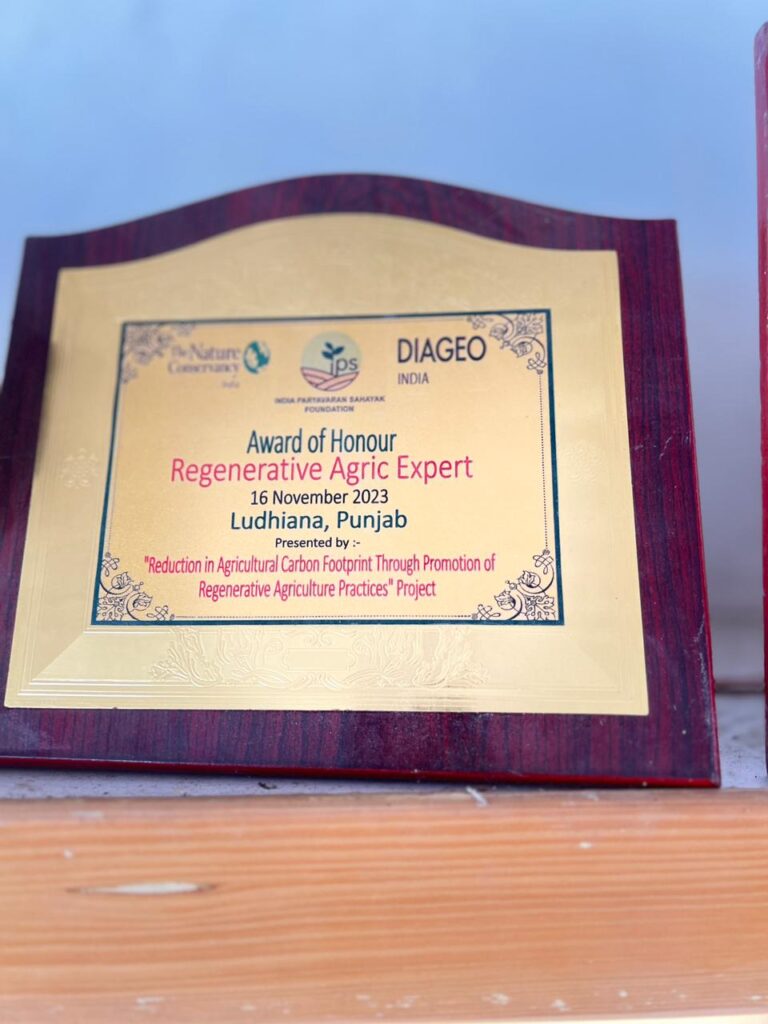 WhatsApp Image 2025-12-31 at 9.37.10 AMSFSFS