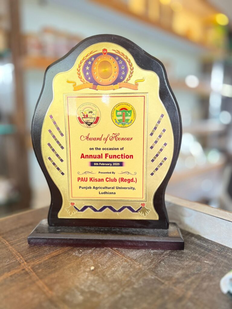 WhatsApp Image 2025-12-31 at 9.37.11 AMFSDFF