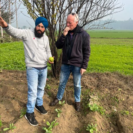 WhatsApp Image 2025-12-31 at 10.29.41 AM